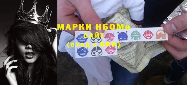 индика Вязьма