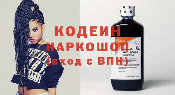 индика Вязьма