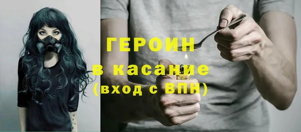 индика Вязьма