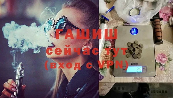 индика Вязьма