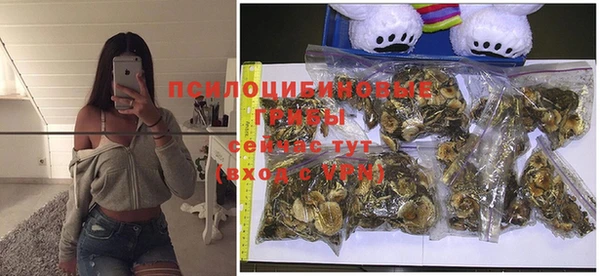 индика Вязьма