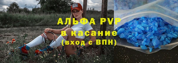 индика Вязьма