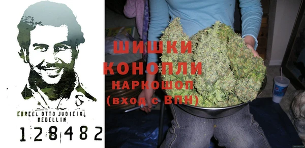 индика Вязьма