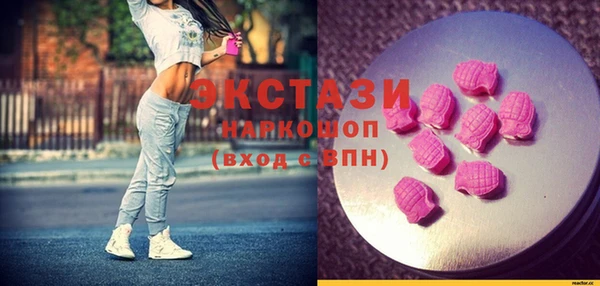 индика Вязьма