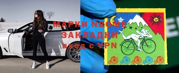 индика Вязьма