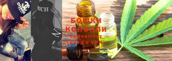 индика Вязьма